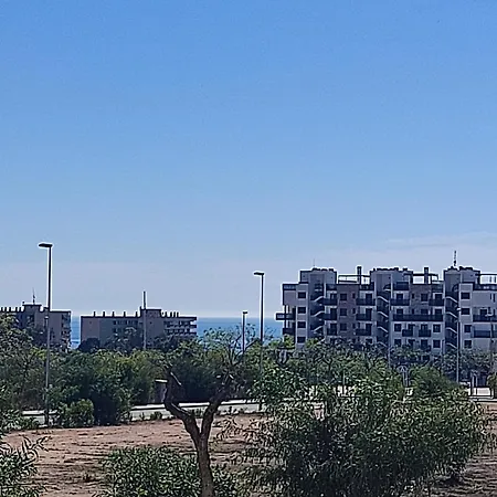 Mil Palmeras Campoamor