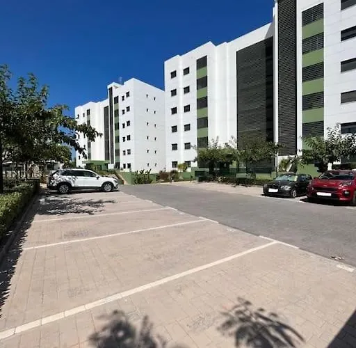 Mil Palmeras * 캄포아모르