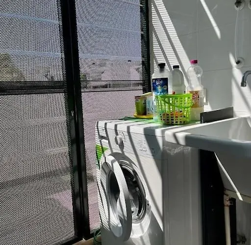 Mil Palmeras * 캄포아모르