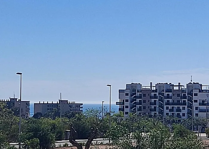 Mil Palmeras 캄포아모르